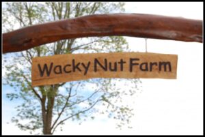 Wacky Nut Farm Entrance